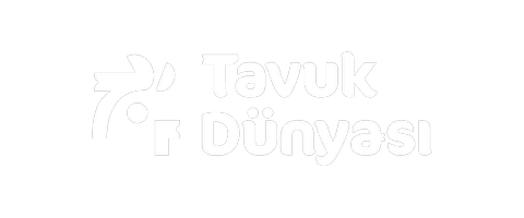 Tavuk Dünyası